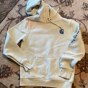 Carhartt light green Hoodie with Blue Logo and Sleeve Print XS
